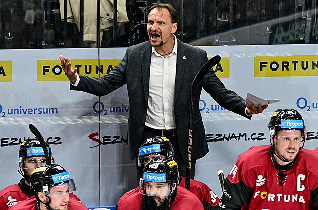 Vyprovokovaný Gross zaplatí 30 tisíc, vyšší částku za fanouška uhradí Brno