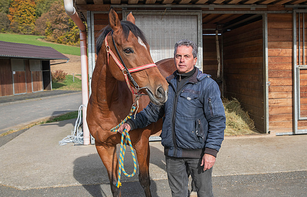 Na původním Taxisu by půlka letošních koní spadla, podivuje se trenér Popelka