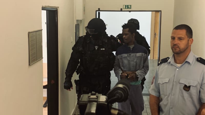 Afričan, který znásilnil dívku na Litoměřicku, byl deportován. Česko to stálo nemalou částku